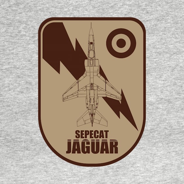 Sepecat Jaguar by Tailgunnerstudios